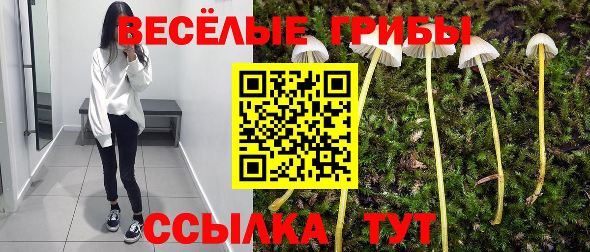 купить   Вход с VPN  Солнечногорск  Галлюциногенные грибы Magic Shrooms 